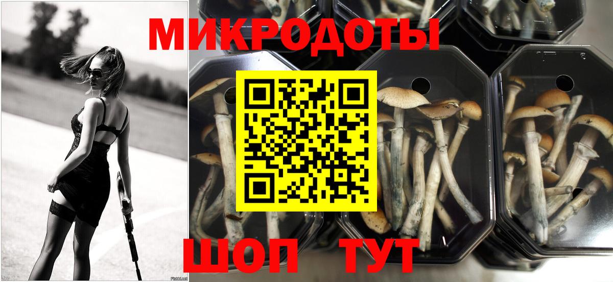 Псилоцибиновые грибы прущие грибы  Вход с VPN  магазин продажи наркотиков  Похвистнево 