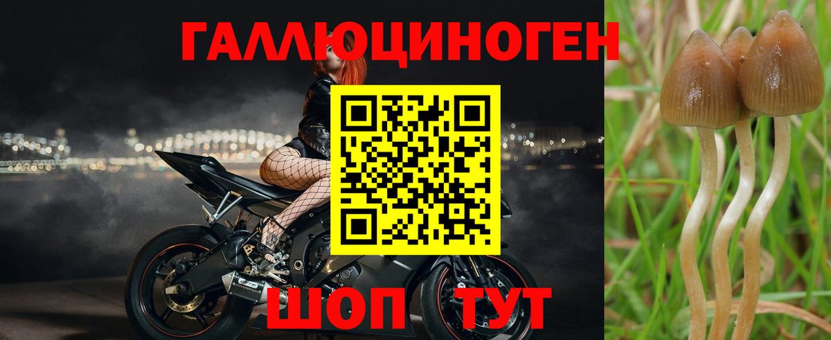 Галлюциногенные грибы GOLDEN TEACHER Похвистнево